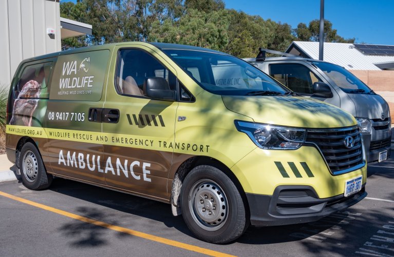 Our wildlife ambulance is ready for emergencies image