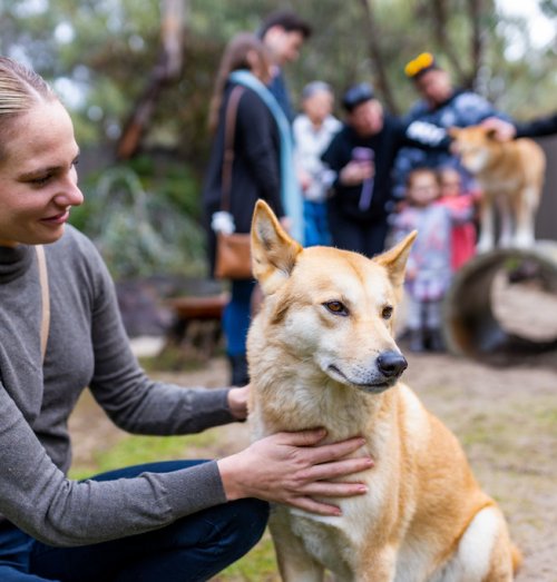 WA Wildlife's education tours are suitable for the whole family Image