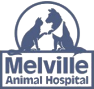 Melville Animal Hospital Logo