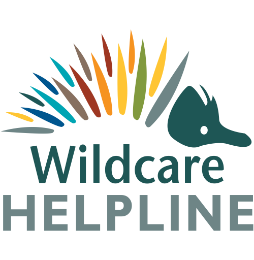 Helping the Western Australian community one phone call at a time Image